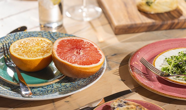 Steelite Melamine Dinnerware