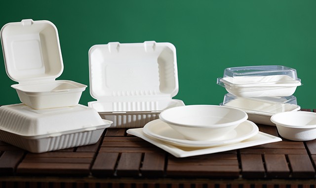 Takeout Food Containers & To-Go Boxes