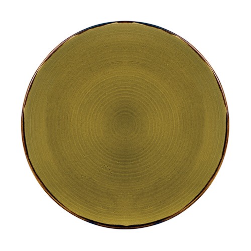 Arc Cardinal HG260 Harvest Green Coupe Plate, 10-1/4", Green (Case of 12)