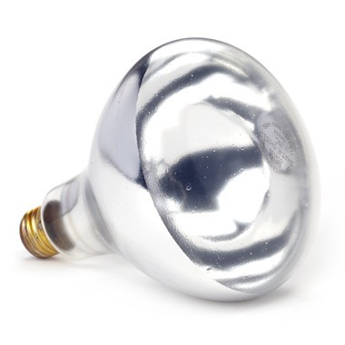 Shat-R-Shield 01725 Telfon Coated Heat Lamp Bulb, 250W, Clear