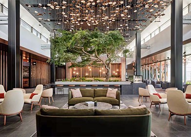 The Amex Lounge: An Oasis of Luxury 